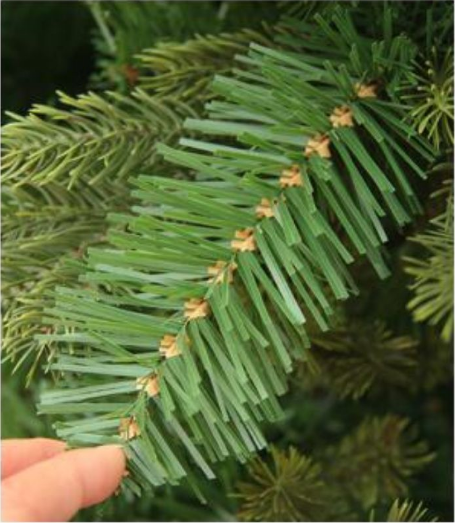 PVC tips of Christmas tree