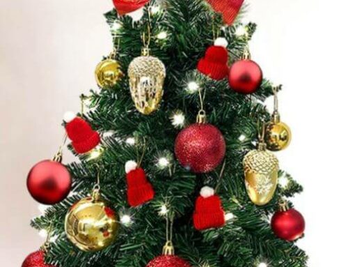 types of potted christmas trees